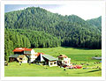 Best of Himachal Tour