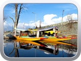 Shikara boats kashmir