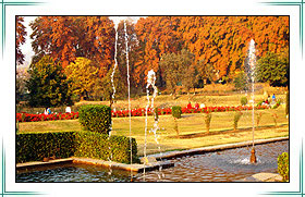 Nishat Bagh, Kashmir