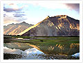 Ladakh Safari Tour